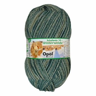 Opal Schaftpate Winterweide sokkenwol